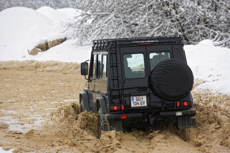  Mercedes-Benz G-Class Edition 30 2009 года  (фото 10 из 11)